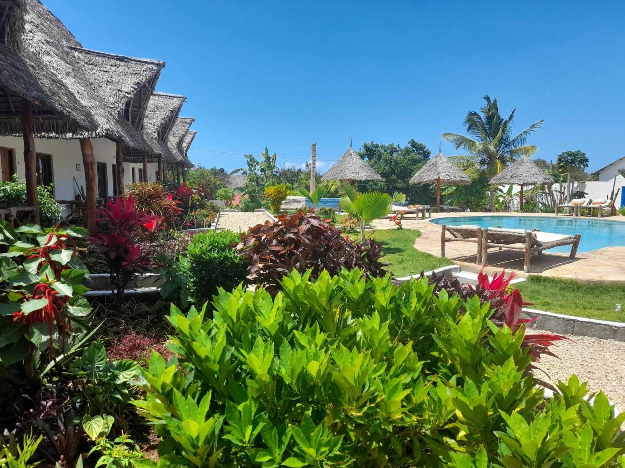 Africa Dream Bungalow Kiwengwa Kiwengwa (Zanzibar) Exterior foto