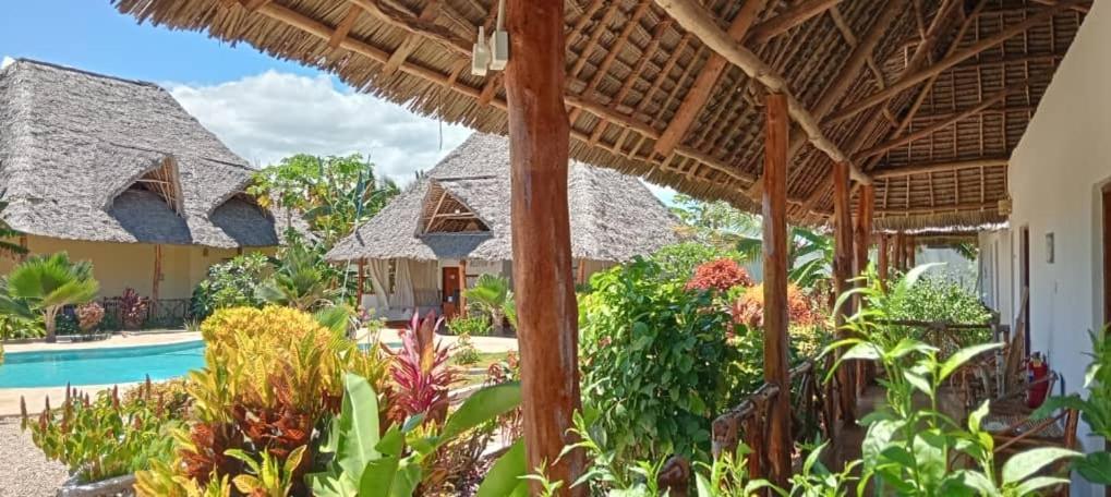 Africa Dream Bungalow Kiwengwa Kiwengwa (Zanzibar) Exterior foto